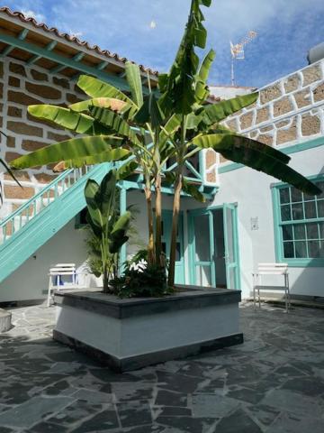 Hacienda De Las Indias, Cali 그라나딜라데아보나 외부 사진