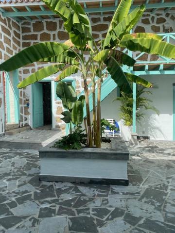 Hacienda De Las Indias, Cali 그라나딜라데아보나 외부 사진